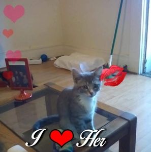 Meet your Posher, Cindy